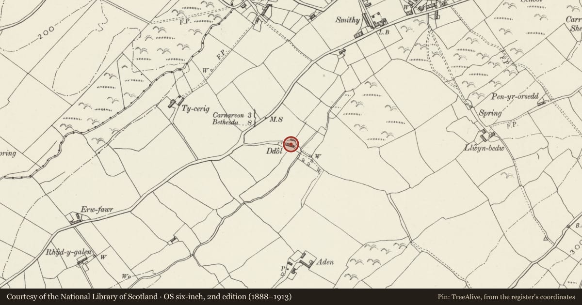Ordnance Survey six-inch map, 2nd edition (1888–1913) covering the location of Ddol, Llanddeiniolen, Gwynedd, with a pin at the register's coordinates