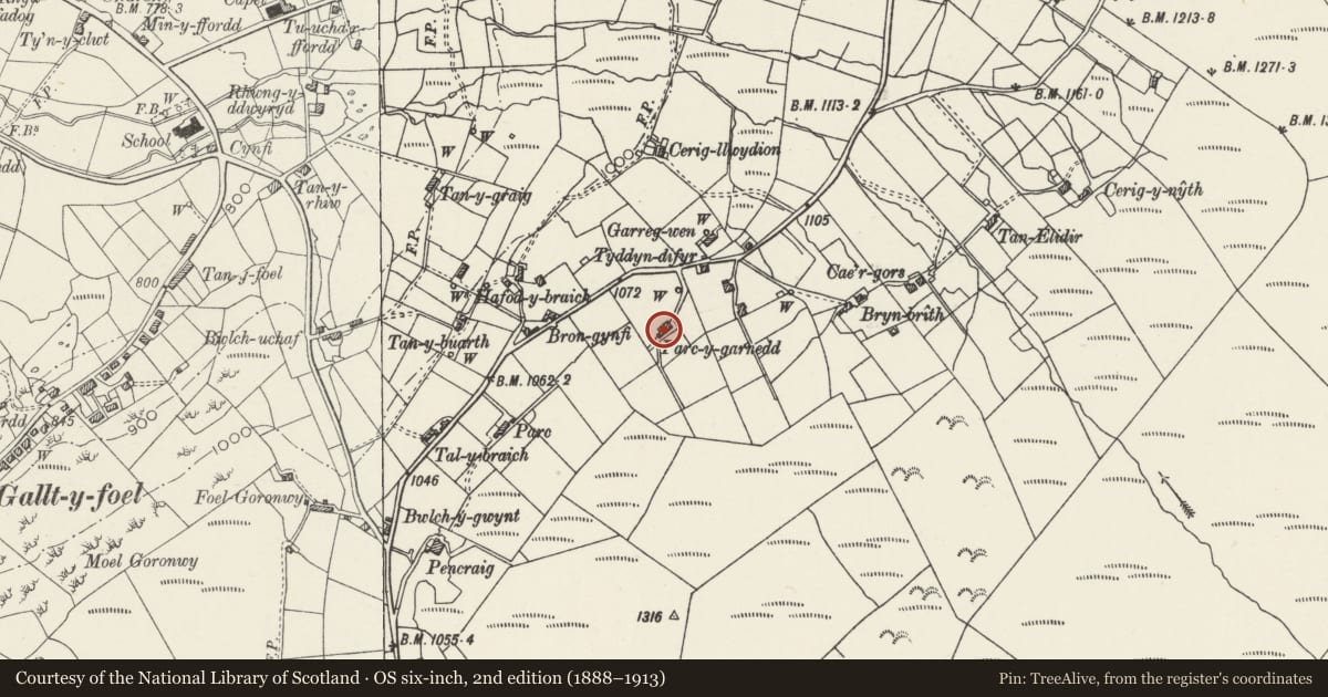 Ordnance Survey six-inch map, 2nd edition (1888–1913) covering the location of Parc-y-garnedd, Llanddeiniolen, Gwynedd, with a pin at the register's coordinates