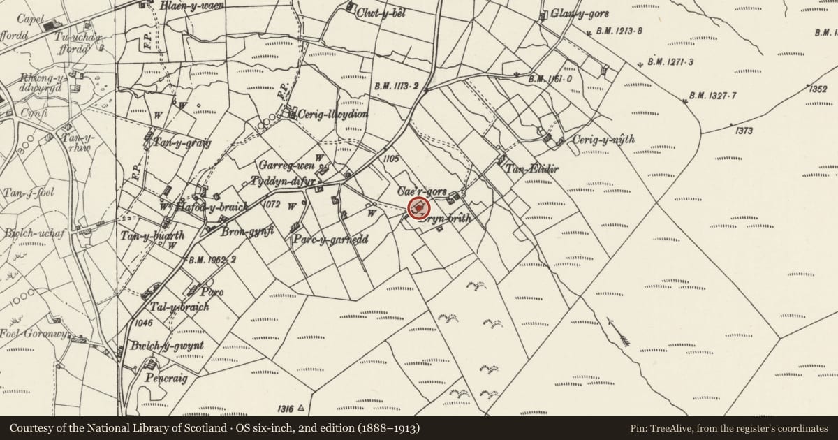 Ordnance Survey six-inch map, 2nd edition (1888–1913) covering the location of Bryn-brith, Llanddeiniolen, Gwynedd, with a pin at the register's coordinates