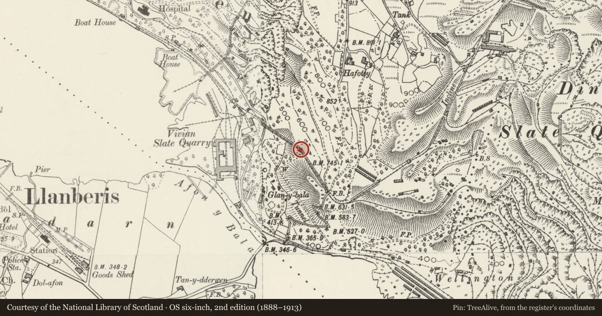 Ordnance Survey six-inch map, 2nd edition (1888–1913) covering the location of Incline, Drumhouses and Counter Balances ('A' Incline), Llanddeiniolen, Gwynedd, with a pin at the register's coordinates