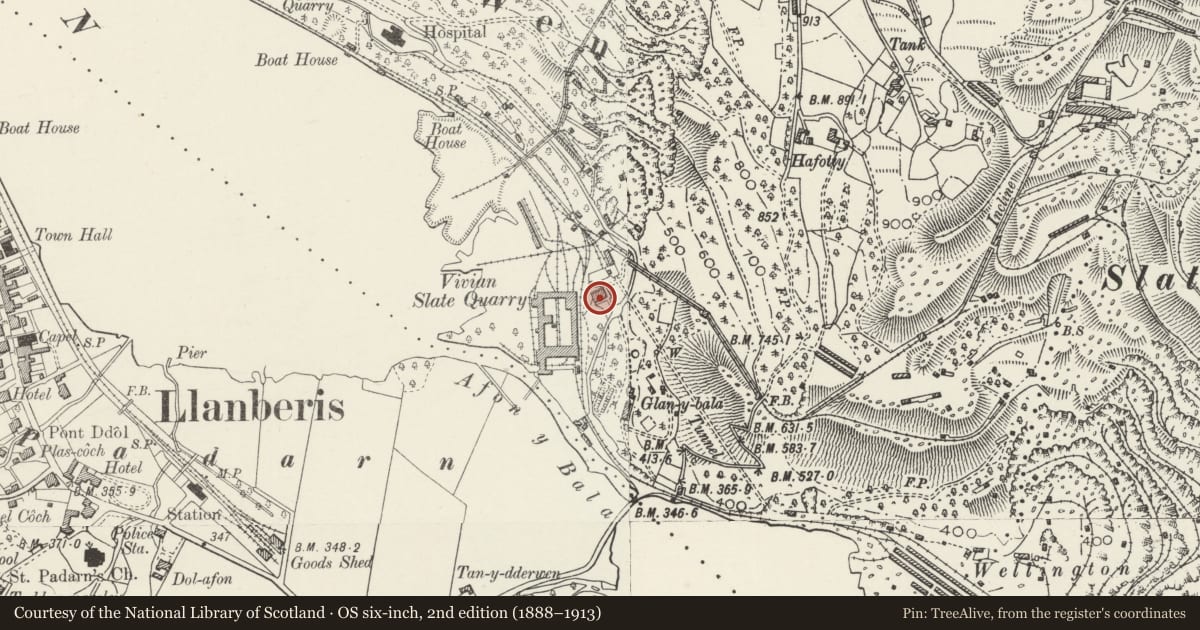 Ordnance Survey six-inch map, 2nd edition (1888–1913) covering the location of Offis Fawr (now Woodcraft Centre), Llanddeiniolen, Gwynedd, with a pin at the register's coordinates