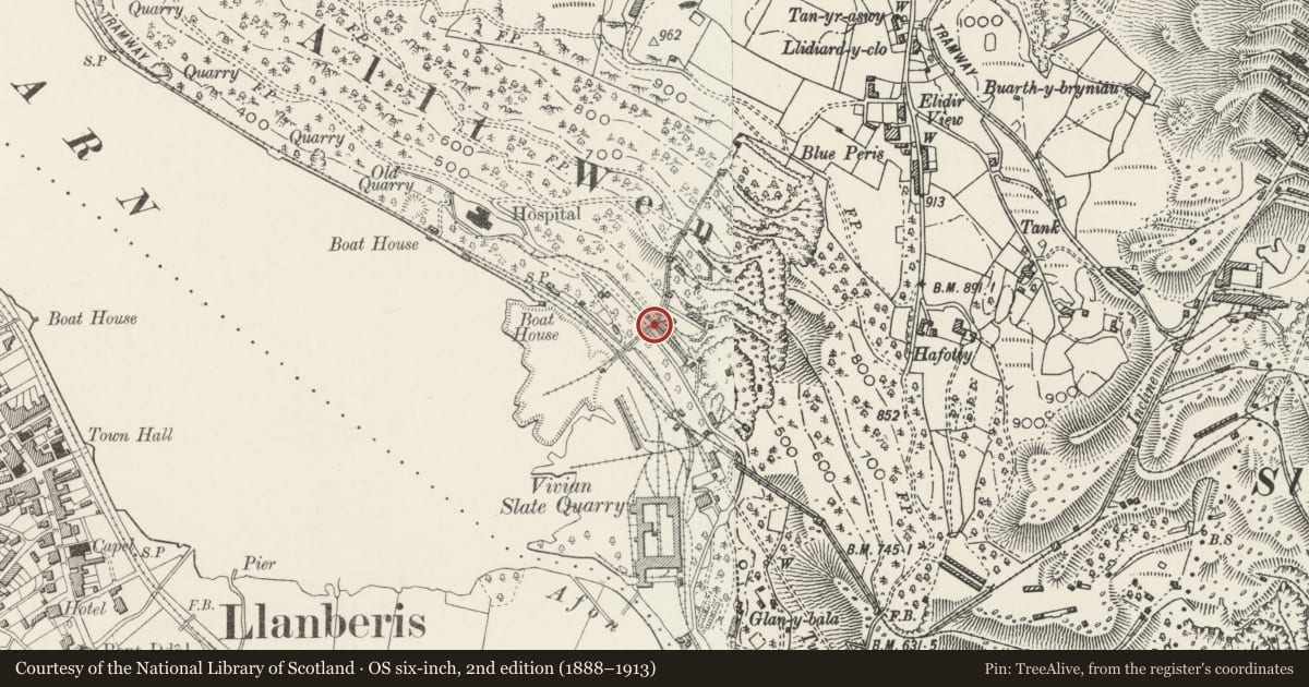 Ordnance Survey six-inch map, 2nd edition (1888–1913) covering the location of Incline and Drumhouses, Llanddeiniolen, Gwynedd, with a pin at the register's coordinates