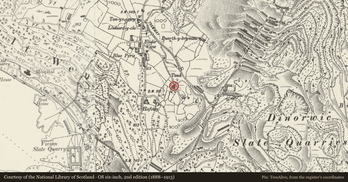 Ordnance Survey six-inch map, 2nd edition (1888–1913) covering the location of Bron Elidir including surrounding wall and steps to Dinorwic Slate Quarry, Llanddeiniolen, Gwynedd, with a pin at the register's coordinates