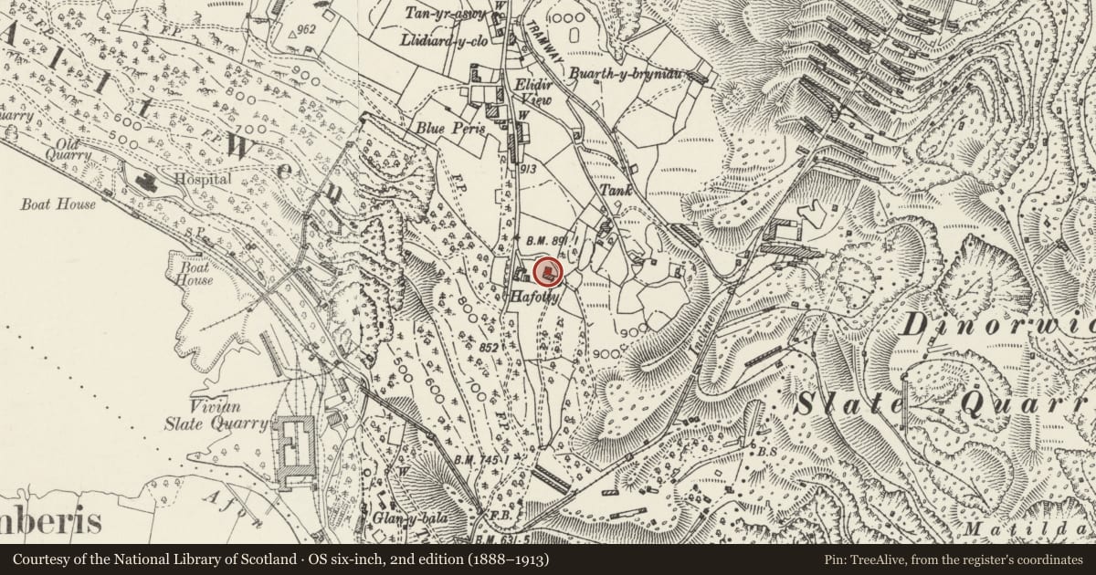Ordnance Survey six-inch map, 2nd edition (1888–1913) covering the location of Hafodty, Llanddeiniolen, Gwynedd, with a pin at the register's coordinates