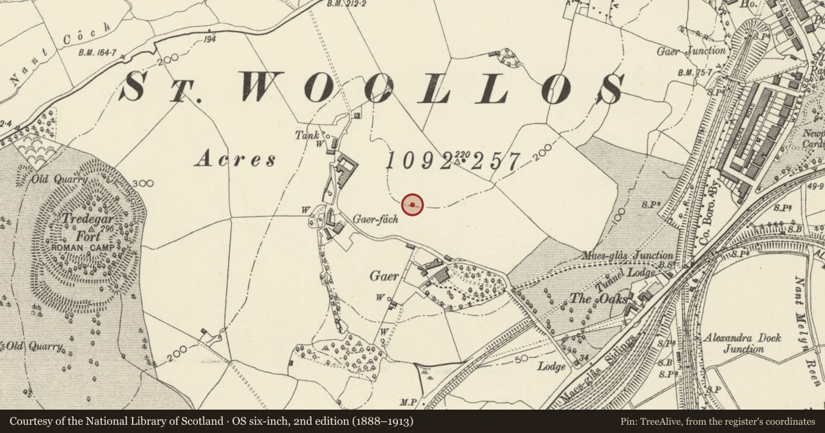 Ordnance Survey six-inch map, 2nd edition (1888–1913) covering the location of Gaer County Primary School, Newport, with a pin at the register's coordinates