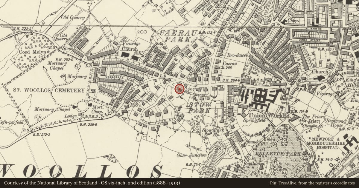 Ordnance Survey six-inch map, 2nd edition (1888–1913) covering the location of Viletta, Gaer, Newport, with a pin at the register's coordinates
