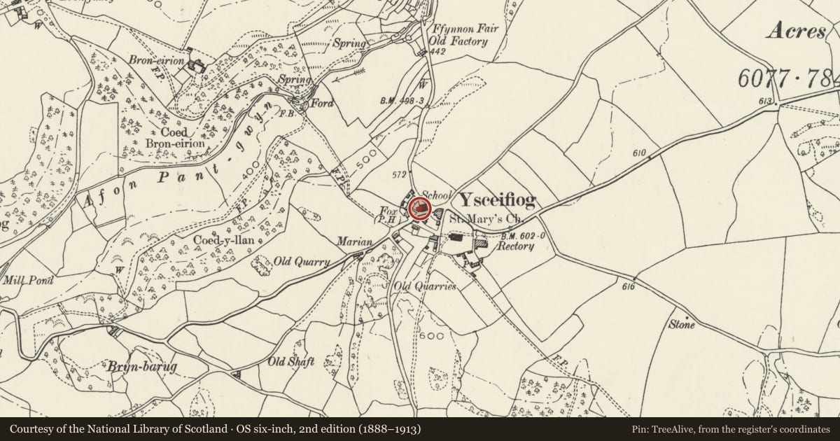 Ordnance Survey six-inch map, 2nd edition (1888–1913) covering the location of School House, including forecourt railings, Ysceifiog, Flintshire, with a pin at the register's coordinates
