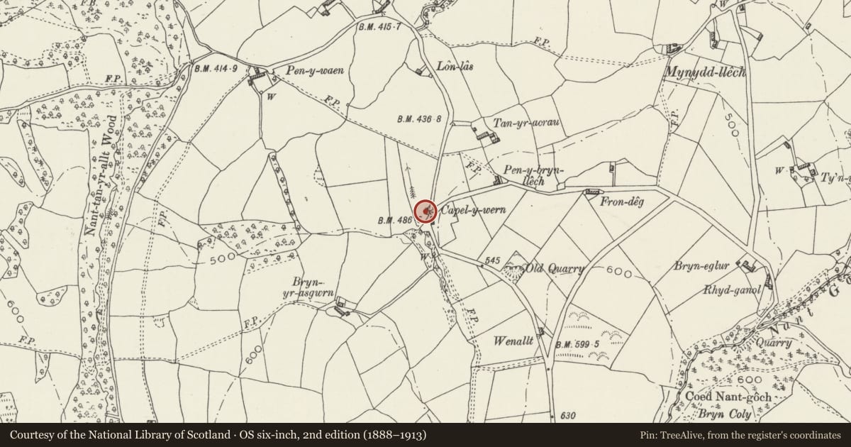 Ordnance Survey six-inch map, 2nd edition (1888–1913) covering the location of Capel-y-Wern, Llanrhaeadr-Yng-Nghinmeirch, Denbighshire, with a pin at the register's coordinates