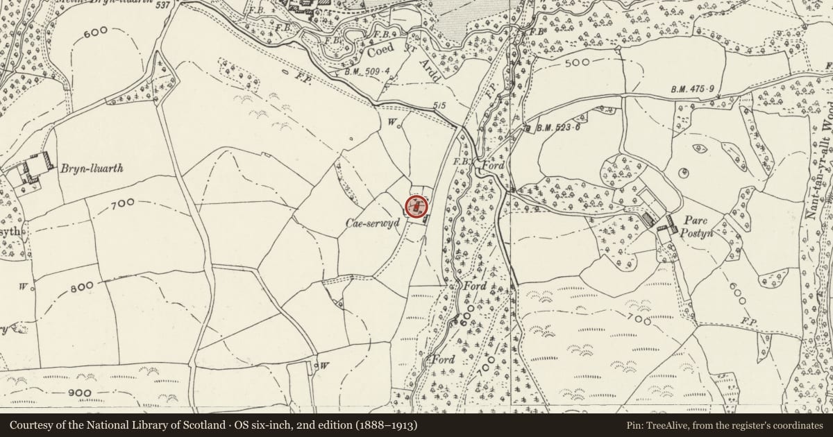 Ordnance Survey six-inch map, 2nd edition (1888–1913) covering the location of Primary House at Cae Serwyd, Llanrhaeadr-Yng-Nghinmeirch, Denbighshire, with a pin at the register's coordinates