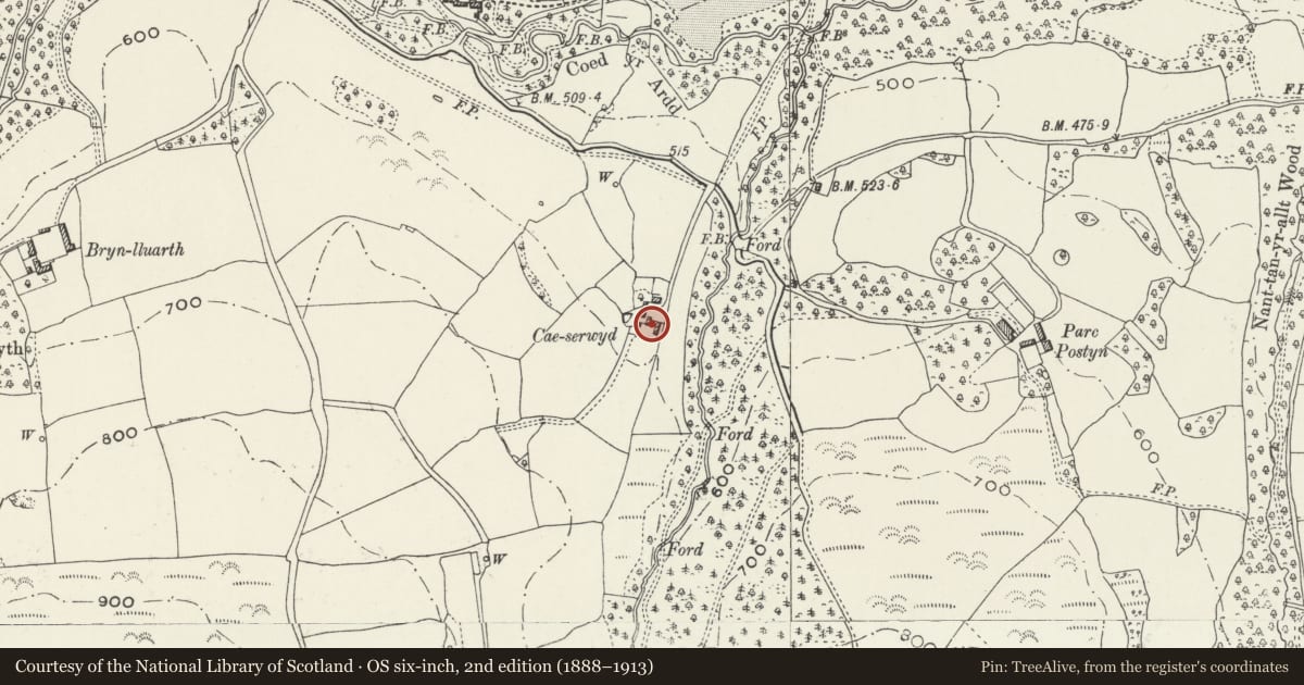 Ordnance Survey six-inch map, 2nd edition (1888–1913) covering the location of Agricultural Range at Cae Serwyd, Llanrhaeadr-Yng-Nghinmeirch, Denbighshire, with a pin at the register's coordinates
