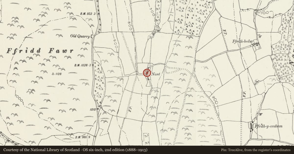 Ordnance Survey six-inch map, 2nd edition (1888–1913) covering the location of Nant-y-Ffrith, Llanrhaeadr-Yng-Nghinmeirch, Denbighshire, with a pin at the register's coordinates