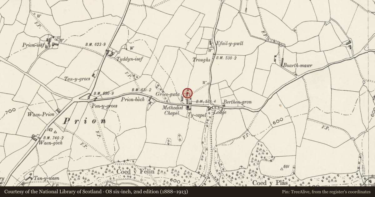 Ordnance Survey six-inch map, 2nd edition (1888–1913) covering the location of Cart and Stable Block at Groes-Gwta, Llanrhaeadr-Yng-Nghinmeirch, Denbighshire, with a pin at the register's coordinates