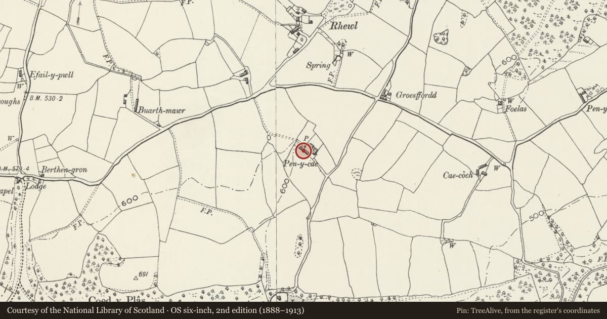 Ordnance Survey six-inch map, 2nd edition (1888–1913) covering the location of Pen-y-Cae Farmhouse, Llanrhaeadr-Yng-Nghinmeirch, Denbighshire, with a pin at the register's coordinates