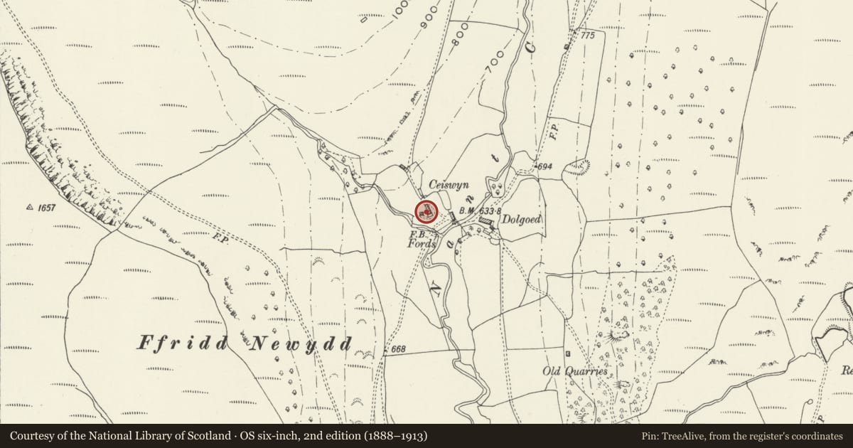 Ordnance Survey six-inch map, 2nd edition (1888–1913) covering the location of Ceiswyn, Corris, Gwynedd, with a pin at the register's coordinates