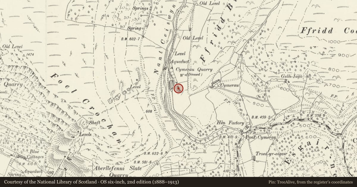 Ordnance Survey six-inch map, 2nd edition (1888–1913) covering the location of Cymerau Cottages, Corris, Gwynedd, with a pin at the register's coordinates