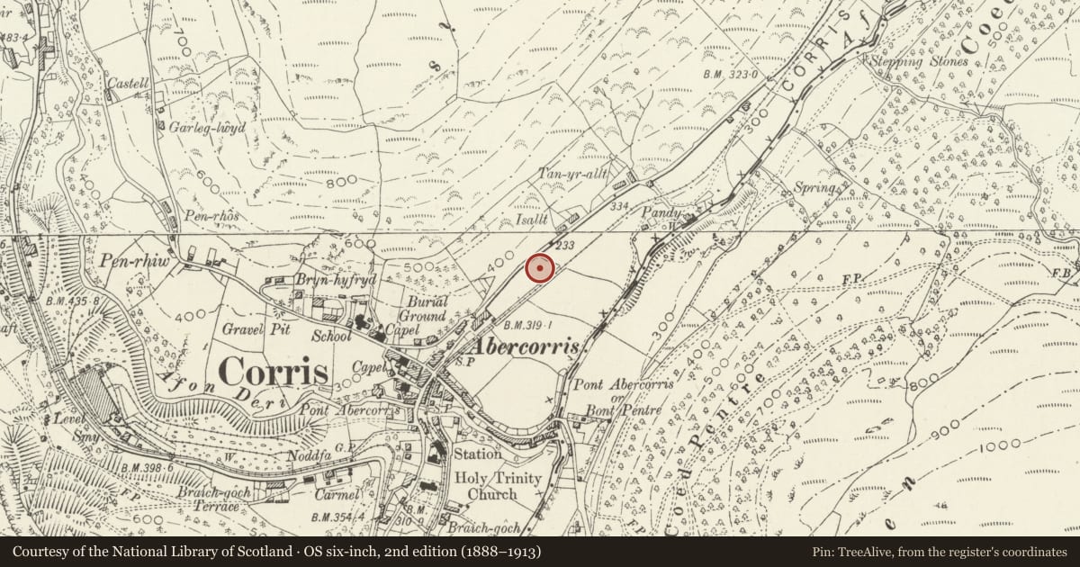 Ordnance Survey six-inch map, 2nd edition (1888–1913) covering the location of Capel Rehoboth (Capel Goffa), also known as Capel Newydd, Corris, Gwynedd, with a pin at the register's coordinates