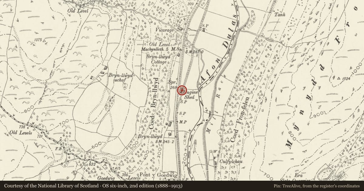 Ordnance Survey six-inch map, 2nd edition (1888–1913) covering the location of Maespoeth Locomotive Shed and attached workshops, Corris, Gwynedd, with a pin at the register's coordinates