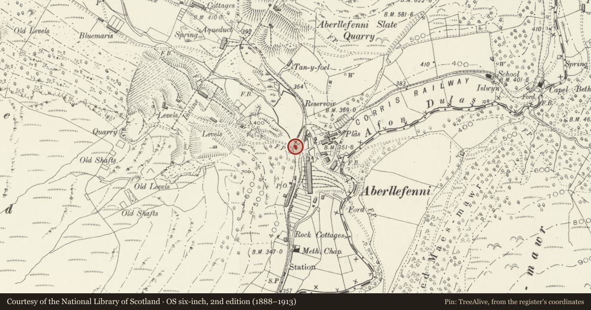 Ordnance Survey six-inch map, 2nd edition (1888–1913) covering the location of The Bell House, Corris, Gwynedd, with a pin at the register's coordinates