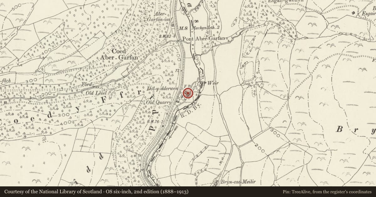 Ordnance Survey six-inch map, 2nd edition (1888–1913) covering the location of Dol-y-dderwin, Corris, Gwynedd, with a pin at the register's coordinates
