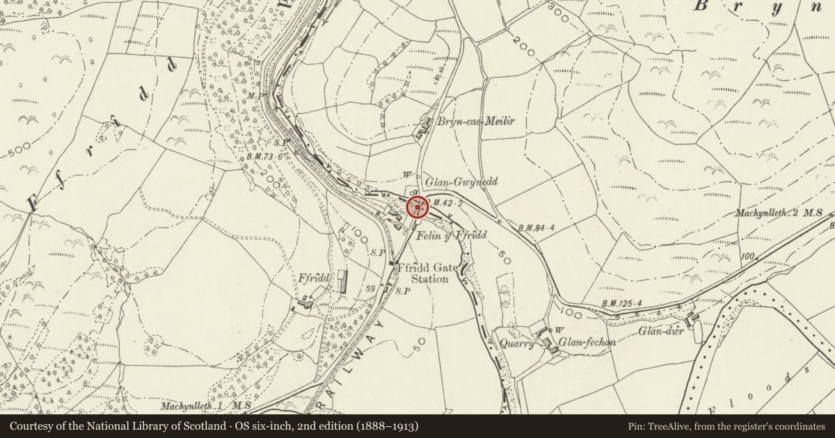 Ordnance Survey six-inch map, 2nd edition (1888–1913) covering the location of Pont Felin-y-ffridd, Corris, Gwynedd, with a pin at the register's coordinates