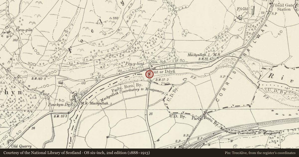 Ordnance Survey six-inch map, 2nd edition (1888–1913) covering the location of Pont ar Dyfi (partly in Machynlleth Community), Corris, Gwynedd, with a pin at the register's coordinates
