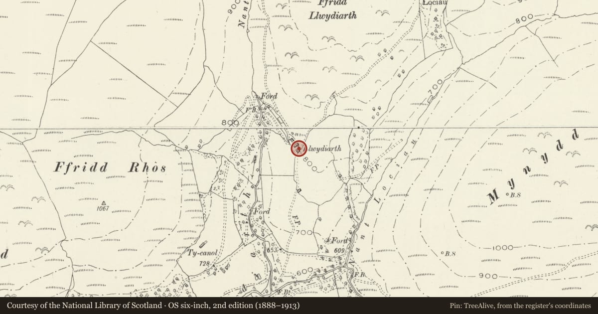 Ordnance Survey six-inch map, 2nd edition (1888–1913) covering the location of Llwydiarth, Corris, Gwynedd, with a pin at the register's coordinates