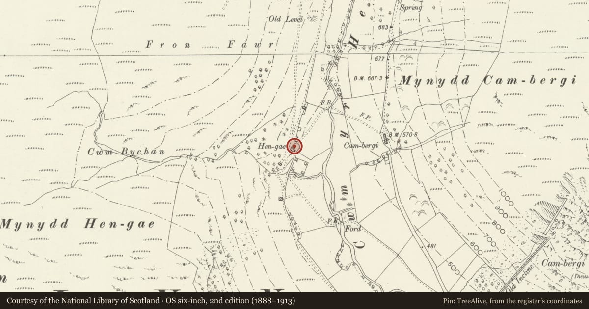 Ordnance Survey six-inch map, 2nd edition (1888–1913) covering the location of Hen-gau, Corris, Gwynedd, with a pin at the register's coordinates