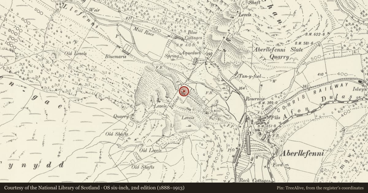 Ordnance Survey six-inch map, 2nd edition (1888–1913) covering the location of Water Balanced Incline and Drumhouse, Corris, Gwynedd, with a pin at the register's coordinates