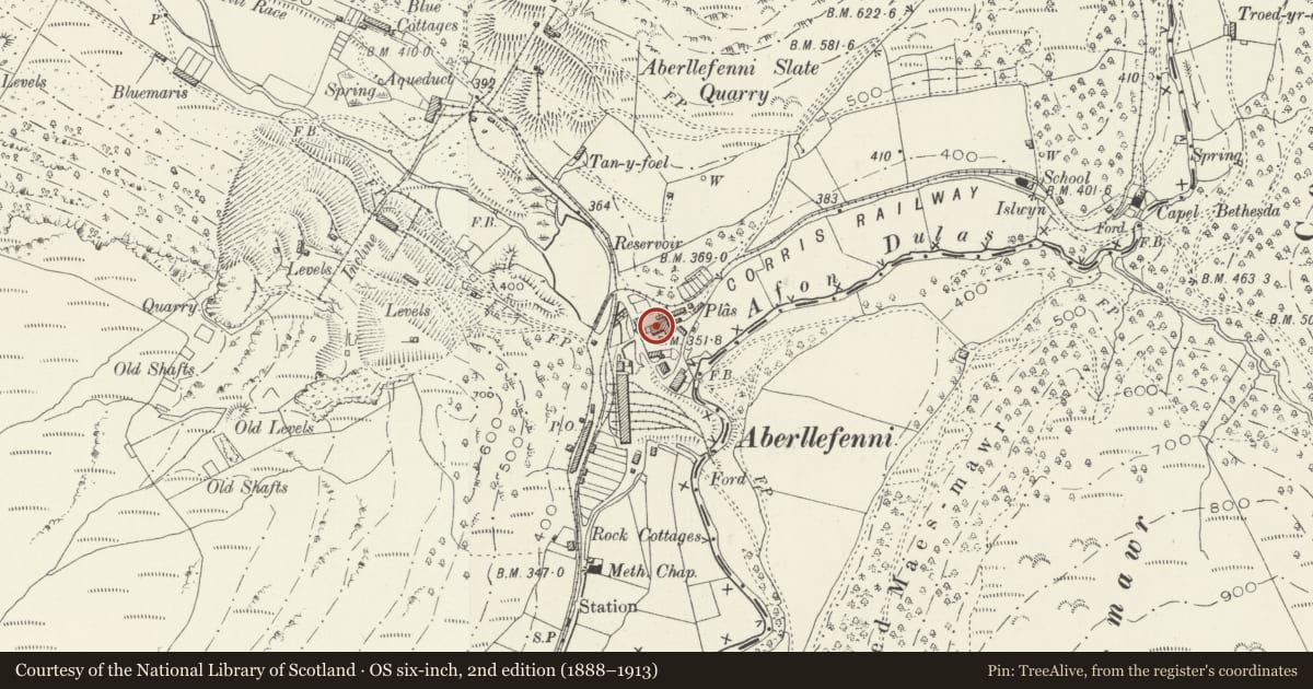 Ordnance Survey six-inch map, 2nd edition (1888–1913) covering the location of Plas Aberllefenni, Corris, Gwynedd, with a pin at the register's coordinates