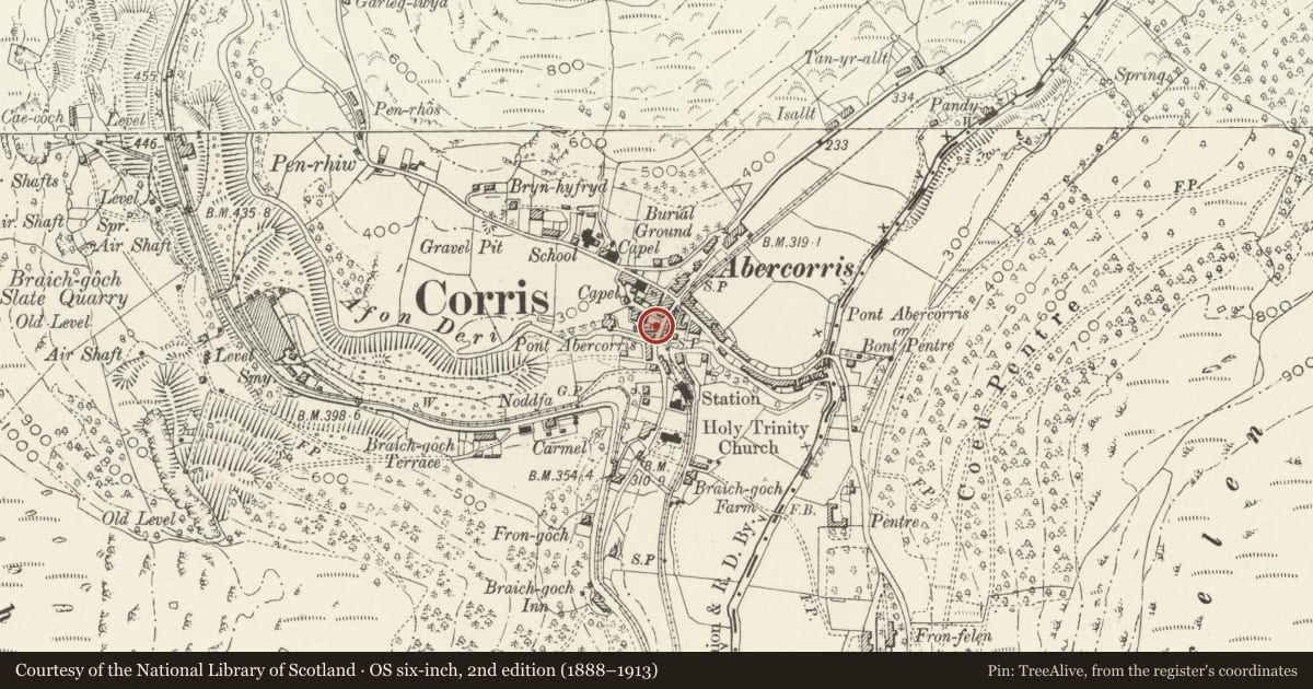 Ordnance Survey six-inch map, 2nd edition (1888–1913) covering the location of Idris House, Corris, Gwynedd, with a pin at the register's coordinates