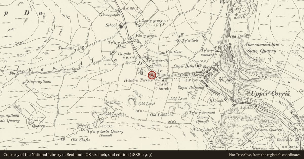 Ordnance Survey six-inch map, 2nd edition (1888–1913) covering the location of Dylluan-y-Deri, Corris, Gwynedd, with a pin at the register's coordinates