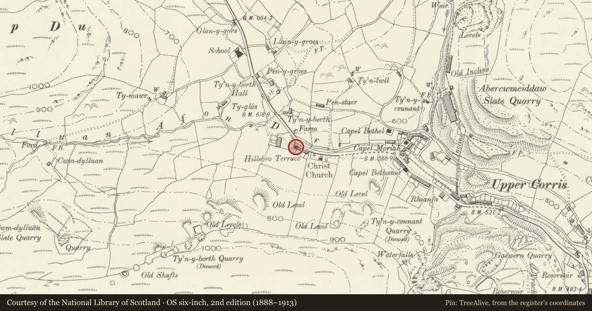 Ordnance Survey six-inch map, 2nd edition (1888–1913) covering the location of Preswylfa, Corris, Gwynedd, with a pin at the register's coordinates