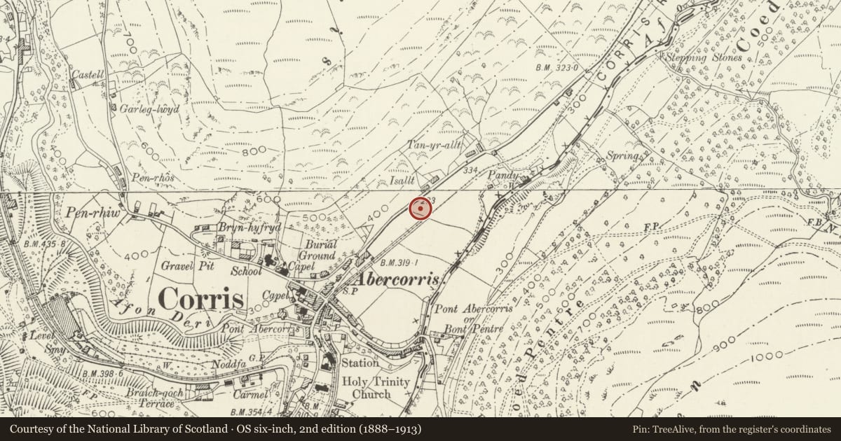 Ordnance Survey six-inch map, 2nd edition (1888–1913) covering the location of Slate Fencing for the Ratgoed Tramway and adjoining fields, Corris, Gwynedd, with a pin at the register's coordinates