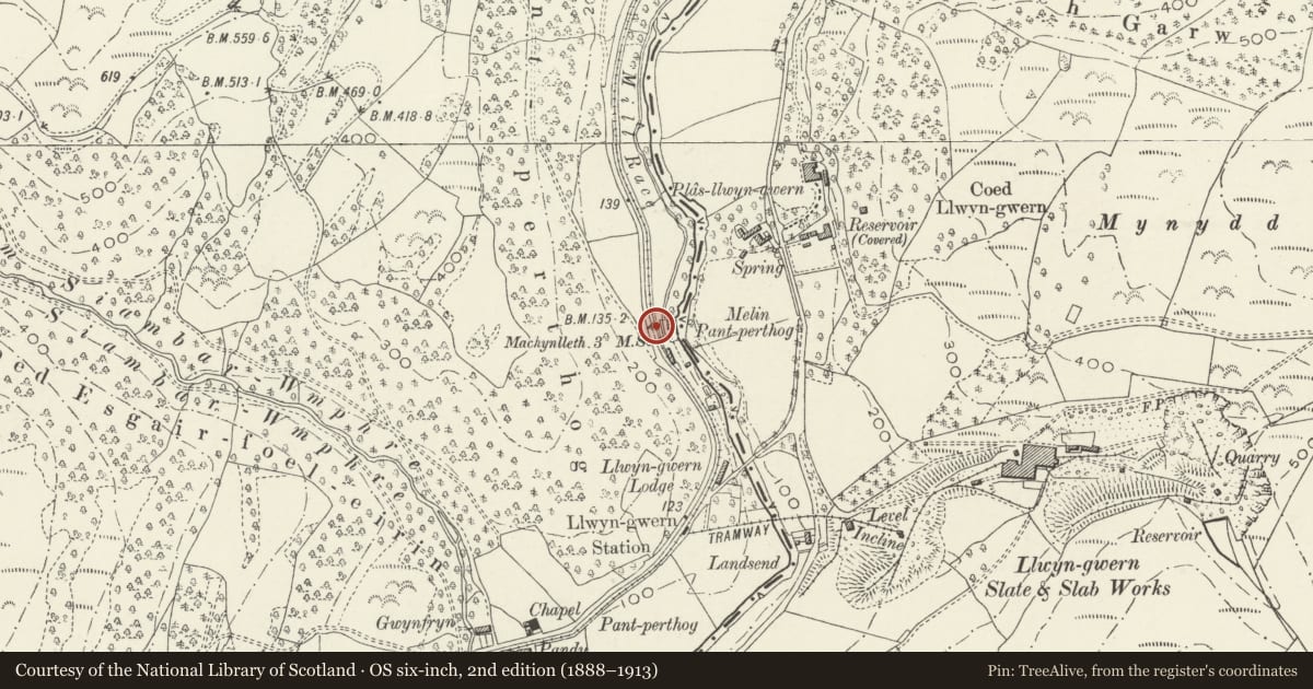 Ordnance Survey six-inch map, 2nd edition (1888–1913) covering the location of Milestone, Corris, Gwynedd, with a pin at the register's coordinates