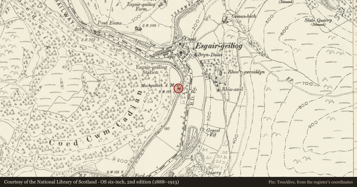 Ordnance Survey six-inch map, 2nd edition (1888–1913) covering the location of Milestone, Corris, Gwynedd, with a pin at the register's coordinates