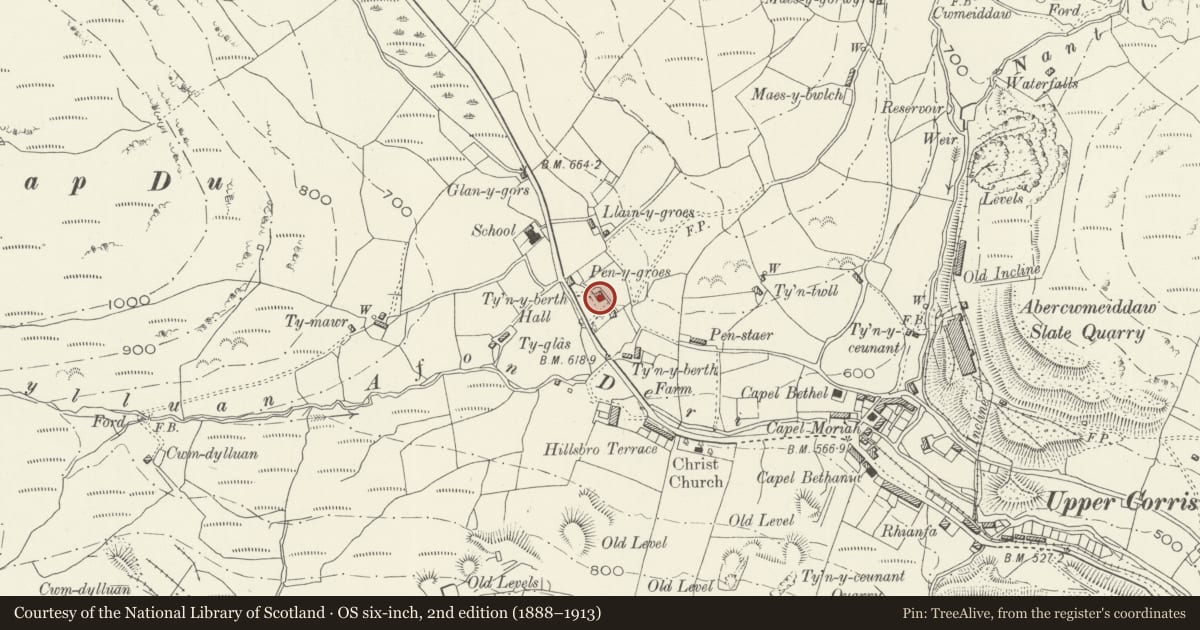Ordnance Survey six-inch map, 2nd edition (1888–1913) covering the location of Plas Ty'n-y-berth, Corris, Gwynedd, with a pin at the register's coordinates