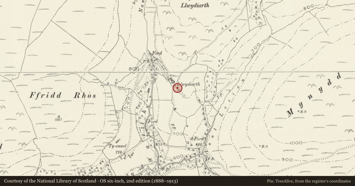 Ordnance Survey six-inch map, 2nd edition (1888–1913) covering the location of Farm building at Llwydiarth, Corris, Gwynedd, with a pin at the register's coordinates