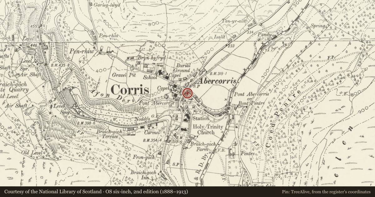 Ordnance Survey six-inch map, 2nd edition (1888–1913) covering the location of Pant-y-celyn, Corris, Gwynedd, with a pin at the register's coordinates