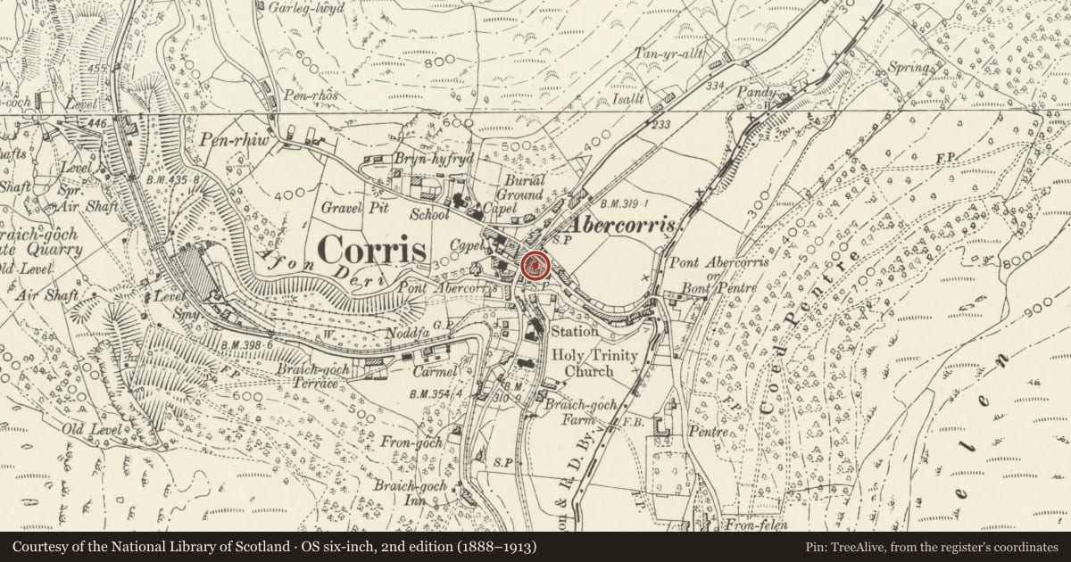 Ordnance Survey six-inch map, 2nd edition (1888–1913) covering the location of Pant-y-celyn, Corris, Gwynedd, with a pin at the register's coordinates