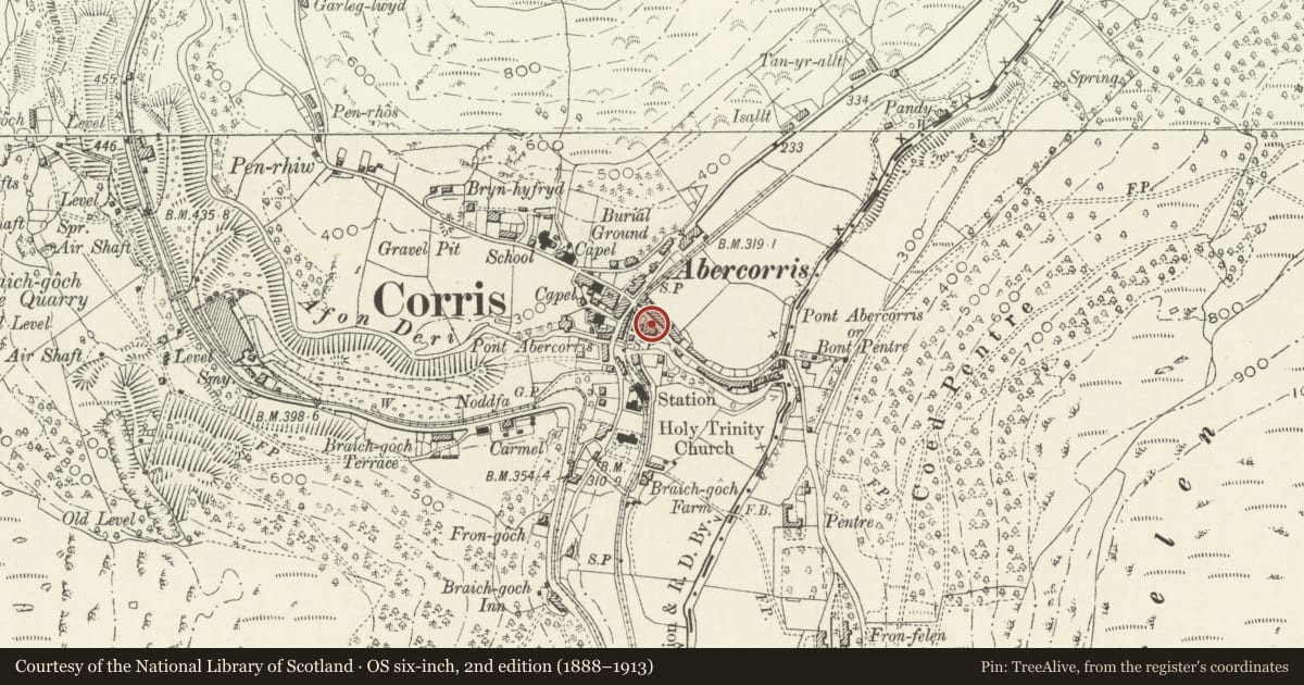 Ordnance Survey six-inch map, 2nd edition (1888–1913) covering the location of Tan-y-bryn, Corris, Gwynedd, with a pin at the register's coordinates