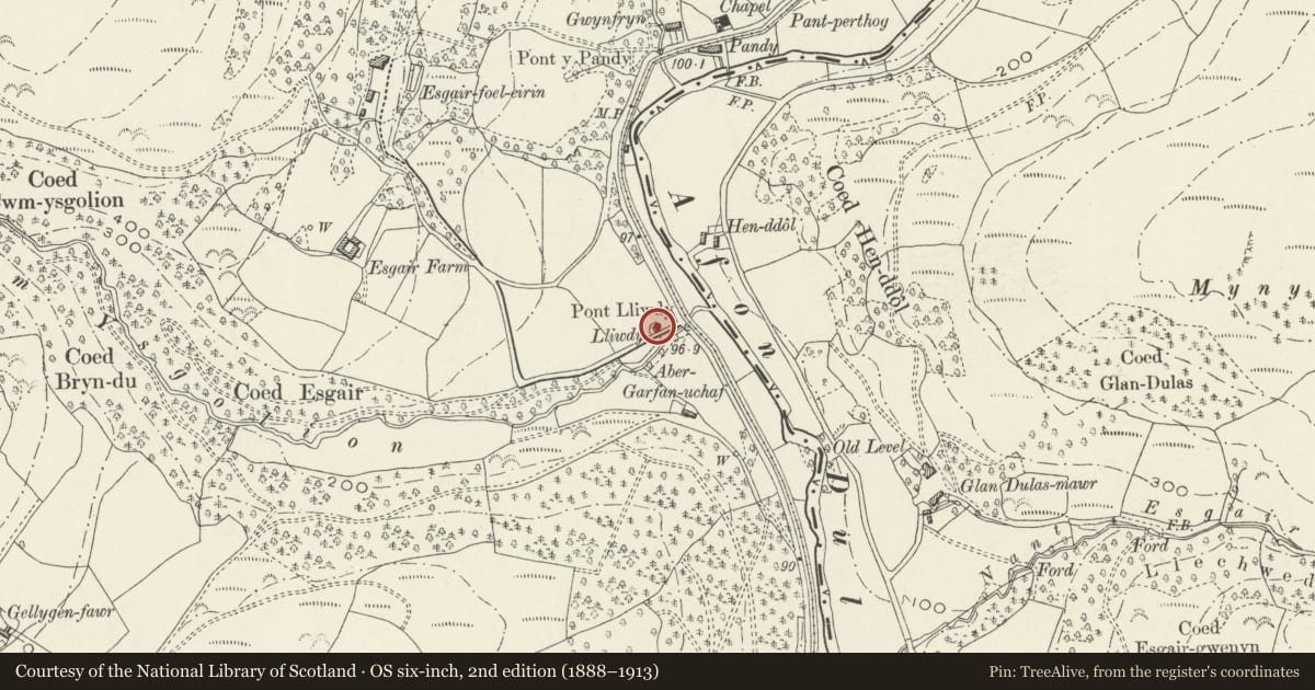 Ordnance Survey six-inch map, 2nd edition (1888–1913) covering the location of Lliwdy, Corris, Gwynedd, with a pin at the register's coordinates