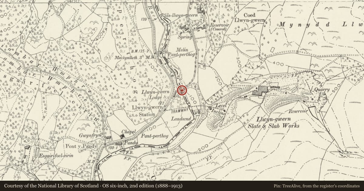 Ordnance Survey six-inch map, 2nd edition (1888–1913) covering the location of Pont Llwyngwern (partly in Glantwymyn community), Corris, Gwynedd, with a pin at the register's coordinates