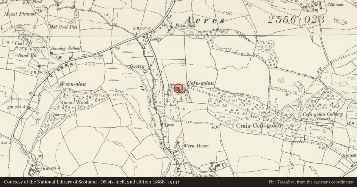 Ordnance Survey six-inch map, 2nd edition (1888–1913) covering the location of Cefn Goleu Park, Gowerton, Swansea, with a pin at the register's coordinates