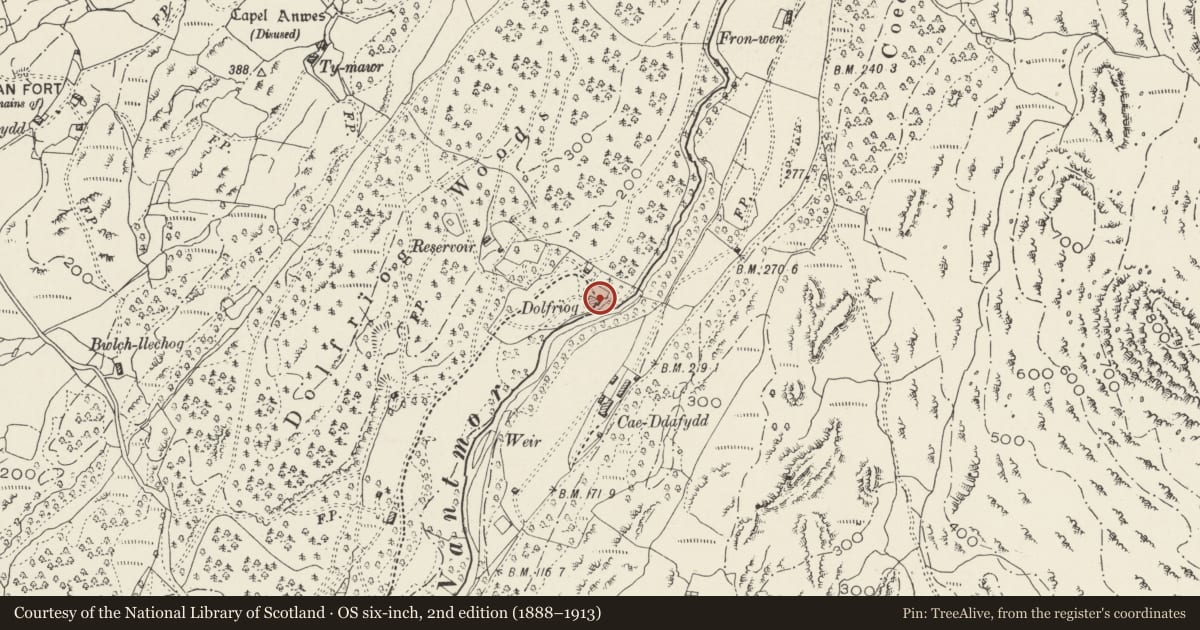 Ordnance Survey six-inch map, 2nd edition (1888–1913) covering the location of Dolfriog, Beddgelert, Gwynedd, with a pin at the register's coordinates