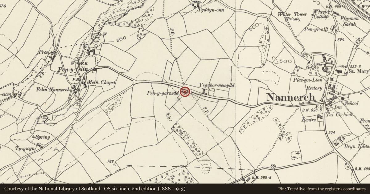 Ordnance Survey six-inch map, 2nd edition (1888–1913) covering the location of Pen-y-Garnedd, Nannerch, Flintshire, with a pin at the register's coordinates