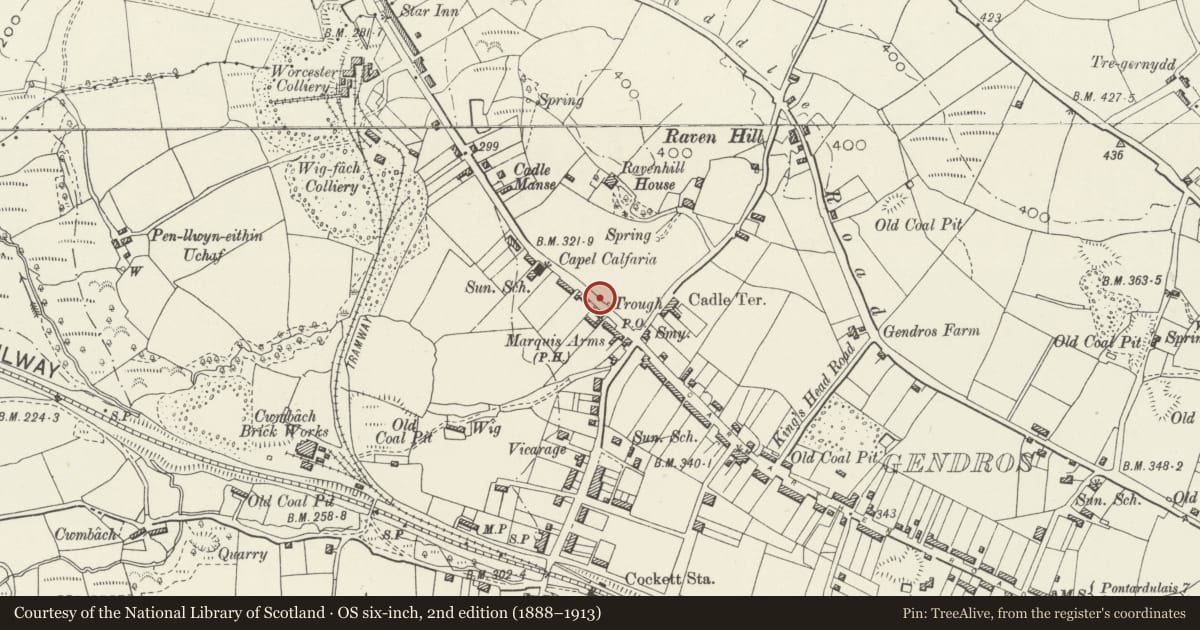 Ordnance Survey six-inch map, 2nd edition (1888–1913) covering the location of Carmarthen Road War Memorial, Cockett, Swansea, with a pin at the register's coordinates