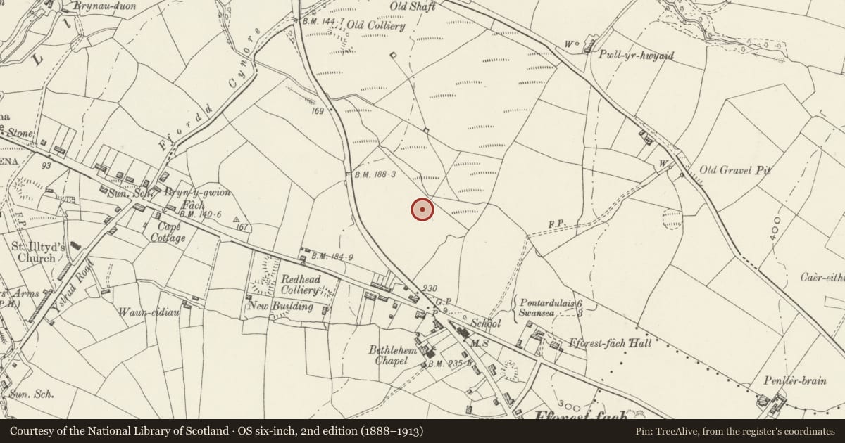 Ordnance Survey six-inch map, 2nd edition (1888–1913) covering the location of Walkers Snack Foods Factory, Cockett, Swansea, with a pin at the register's coordinates