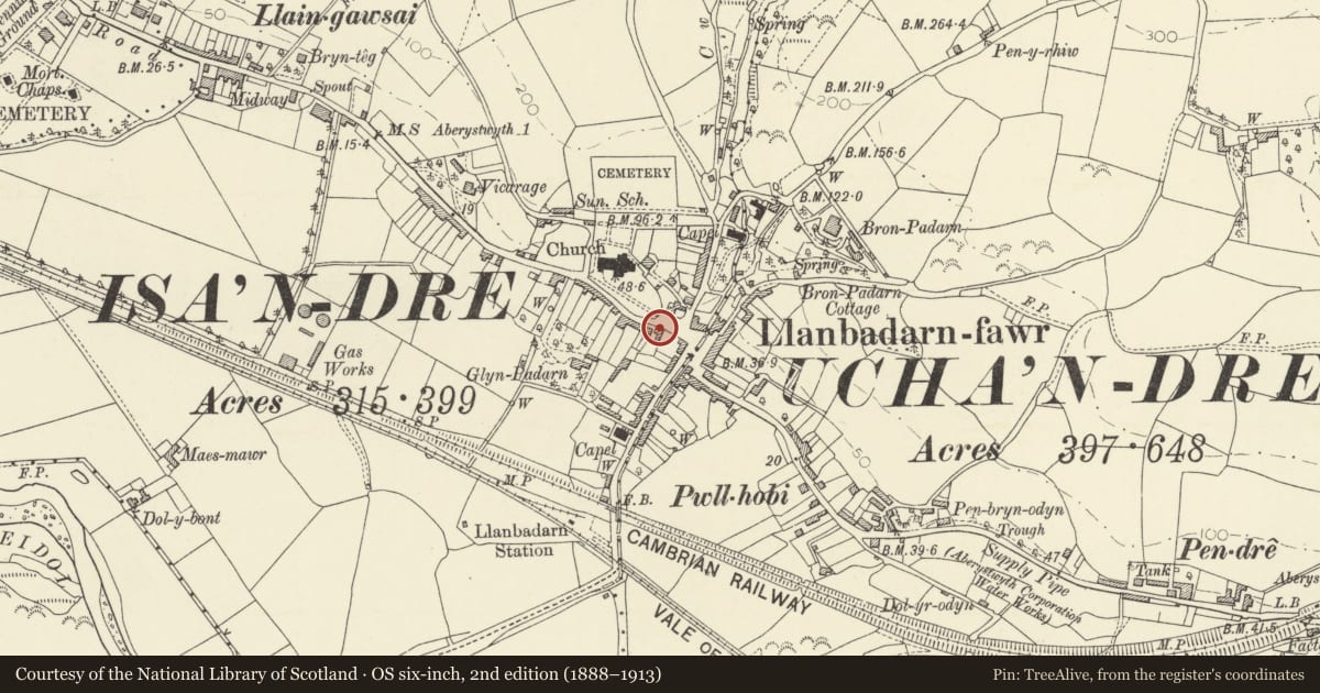 Ordnance Survey six-inch map, 2nd edition (1888–1913) covering the location of Padarn House including front railings, Llanbadarn Fawr, Ceredigion, with a pin at the register's coordinates