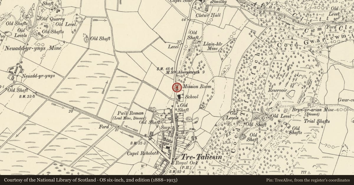 Ordnance Survey six-inch map, 2nd edition (1888–1913) covering the location of Retaining walls at Ysgoldy Fach, Llangynfelyn, Ceredigion, with a pin at the register's coordinates