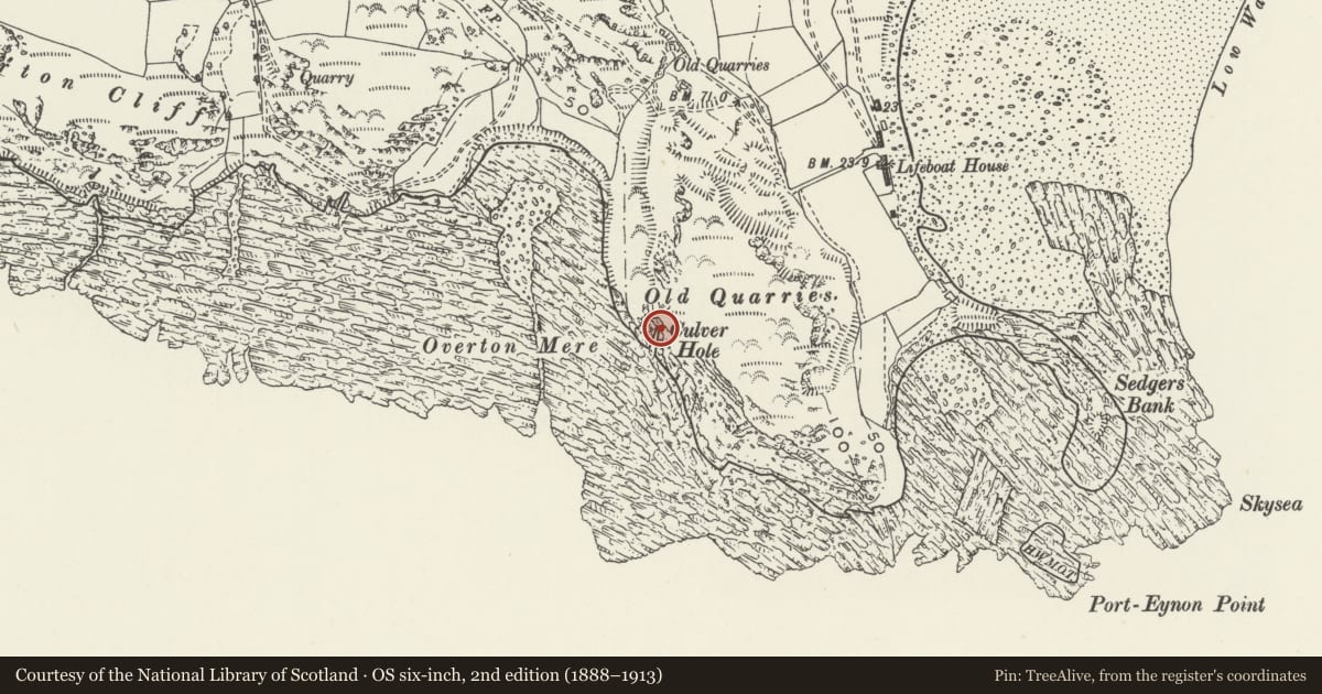 Ordnance Survey six-inch map, 2nd edition (1888–1913) covering the location of The Culver Hole, Port Eynon, Swansea, with a pin at the register's coordinates